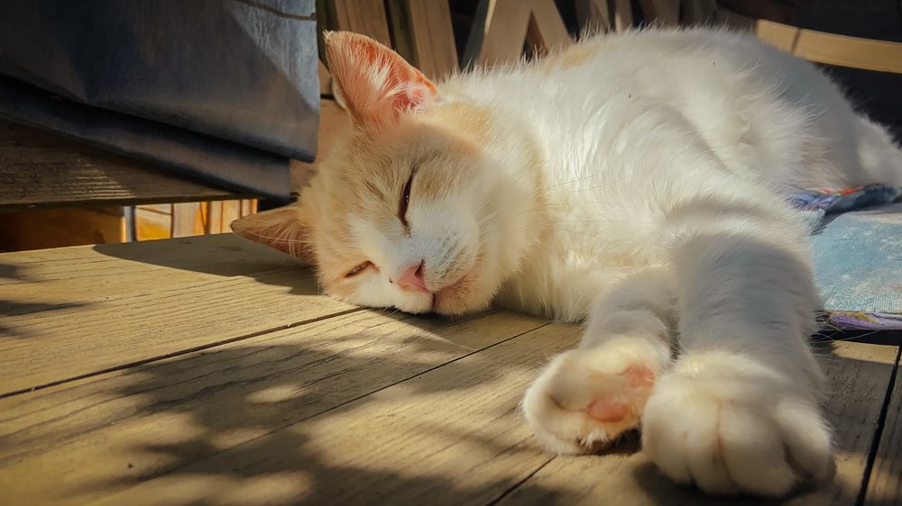 Photograph by Анна Леонова