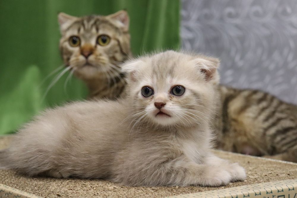 Photograph by Иван Скрипкин