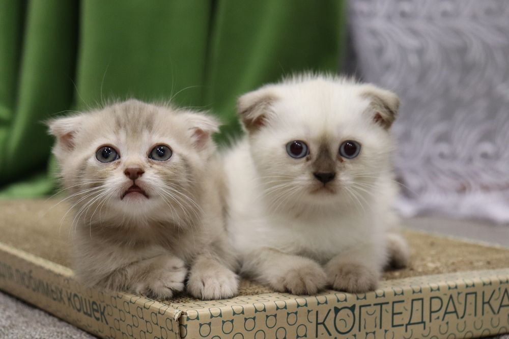 Photograph by Иван Скрипкин