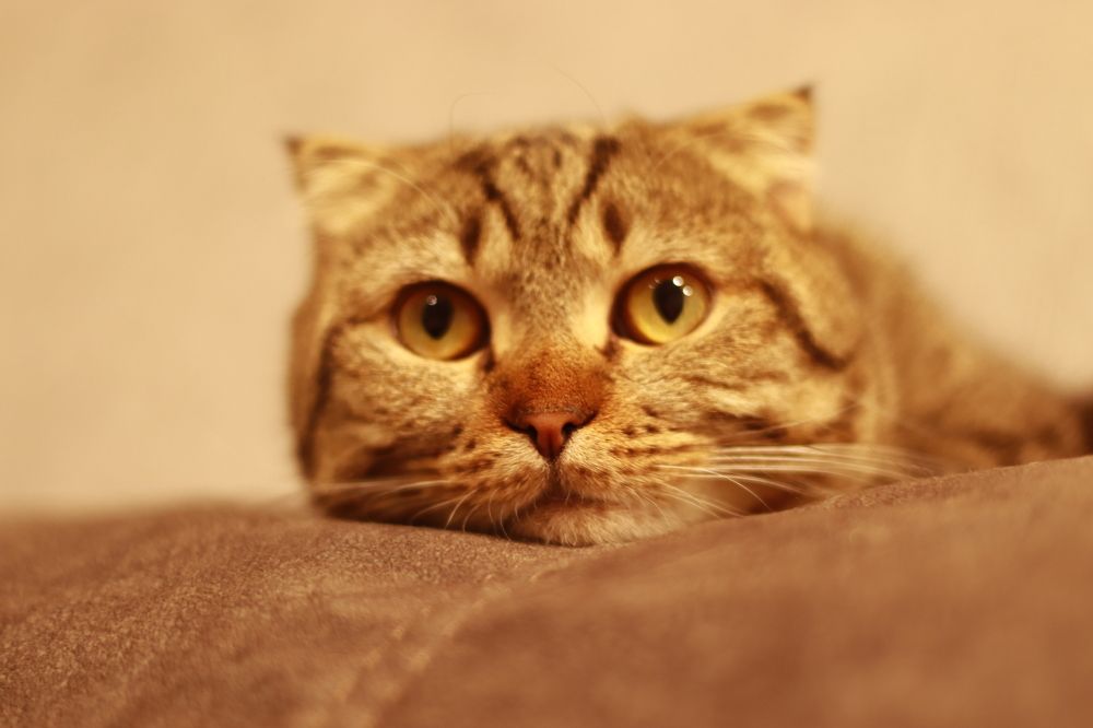 Photograph by Иван Скрипкин