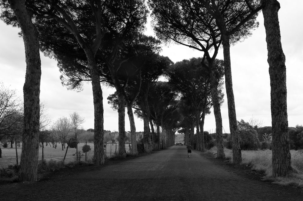 Photograph by Аудрюс Балчетис