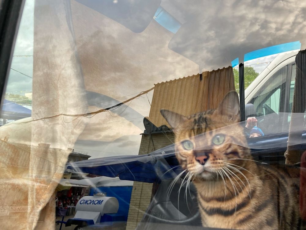 Photograph by Виктория Горельченко