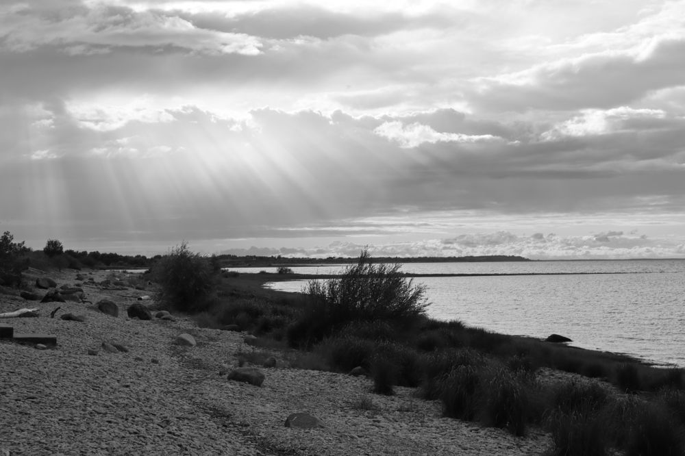 Photograph by Иван Скрипкин