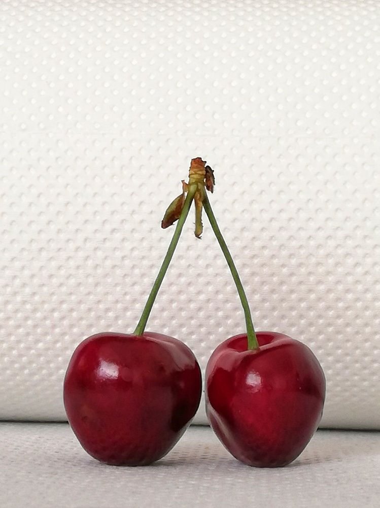 Photograph by Moulay Ahmed KASSI