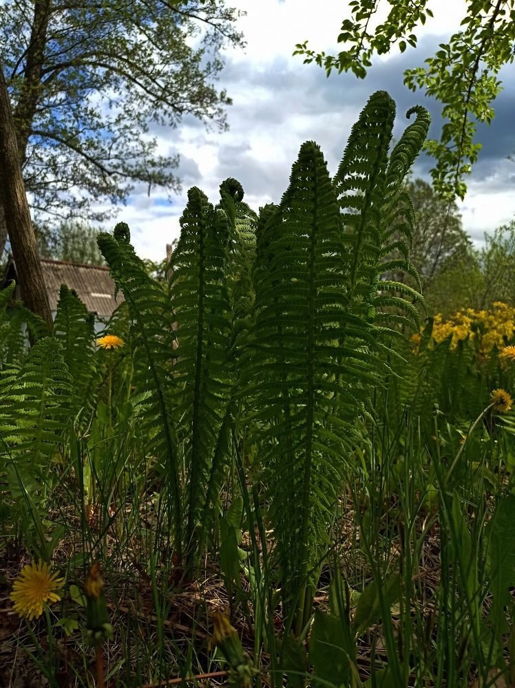 Photograph by Наталья Стальмакова