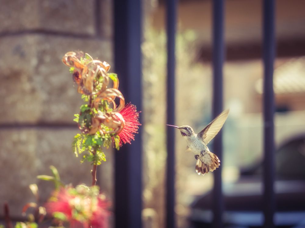 Photograph by Oleg Okselenko