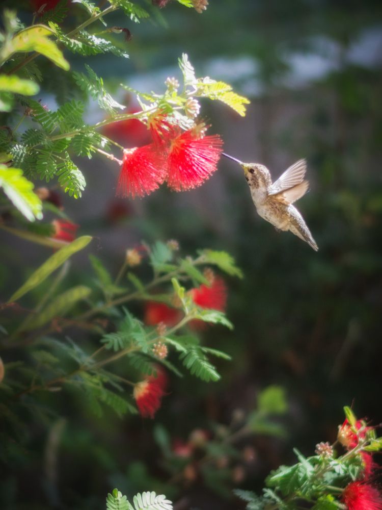 Photograph by Oleg Okselenko
