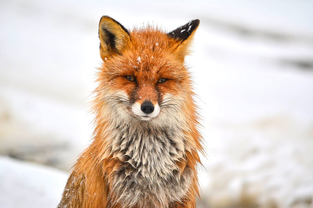 Photograph by Tanzilya Gabidullina