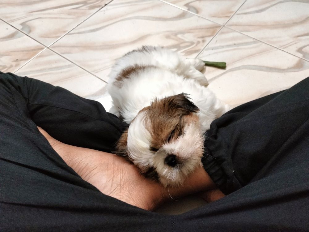 Photo #7643783