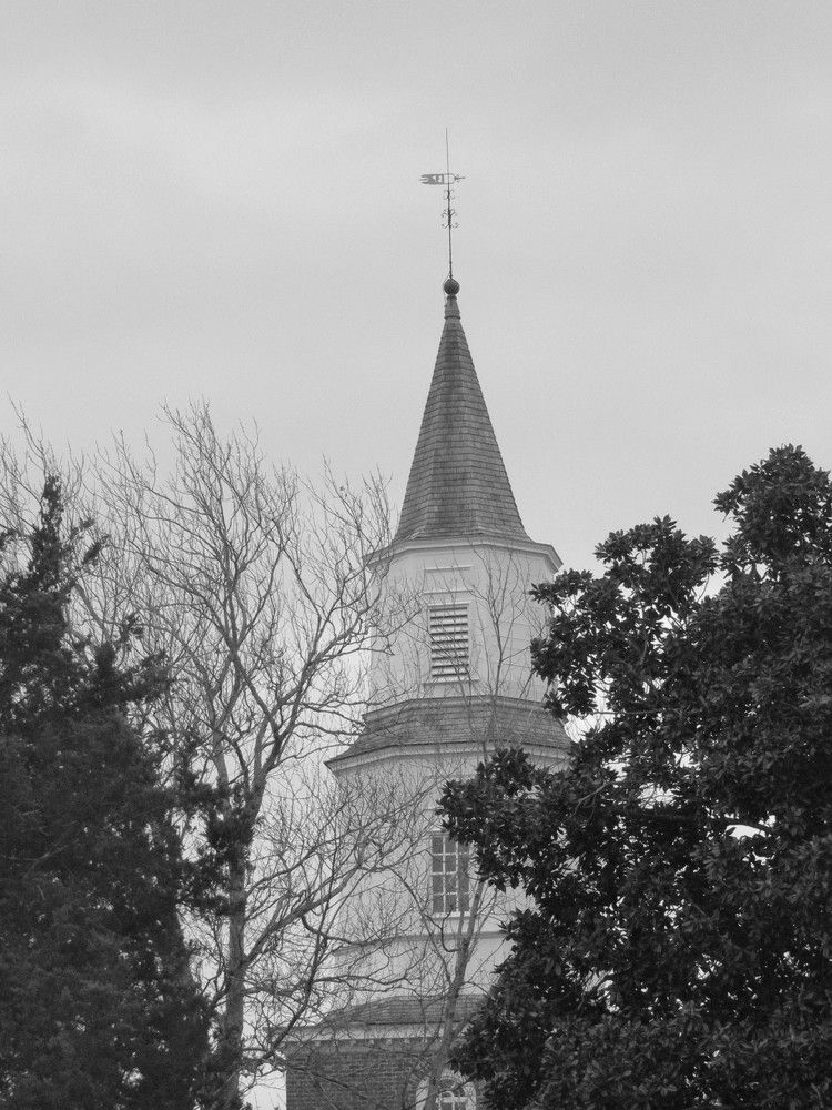 Photograph by Lyndsye