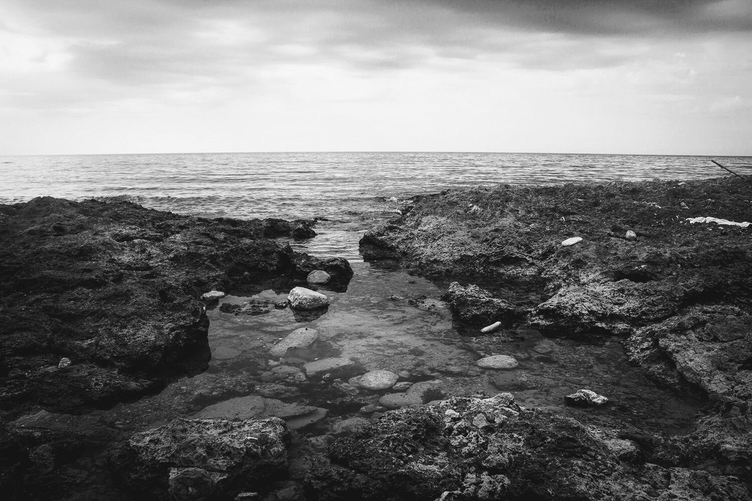 Photo #7643854