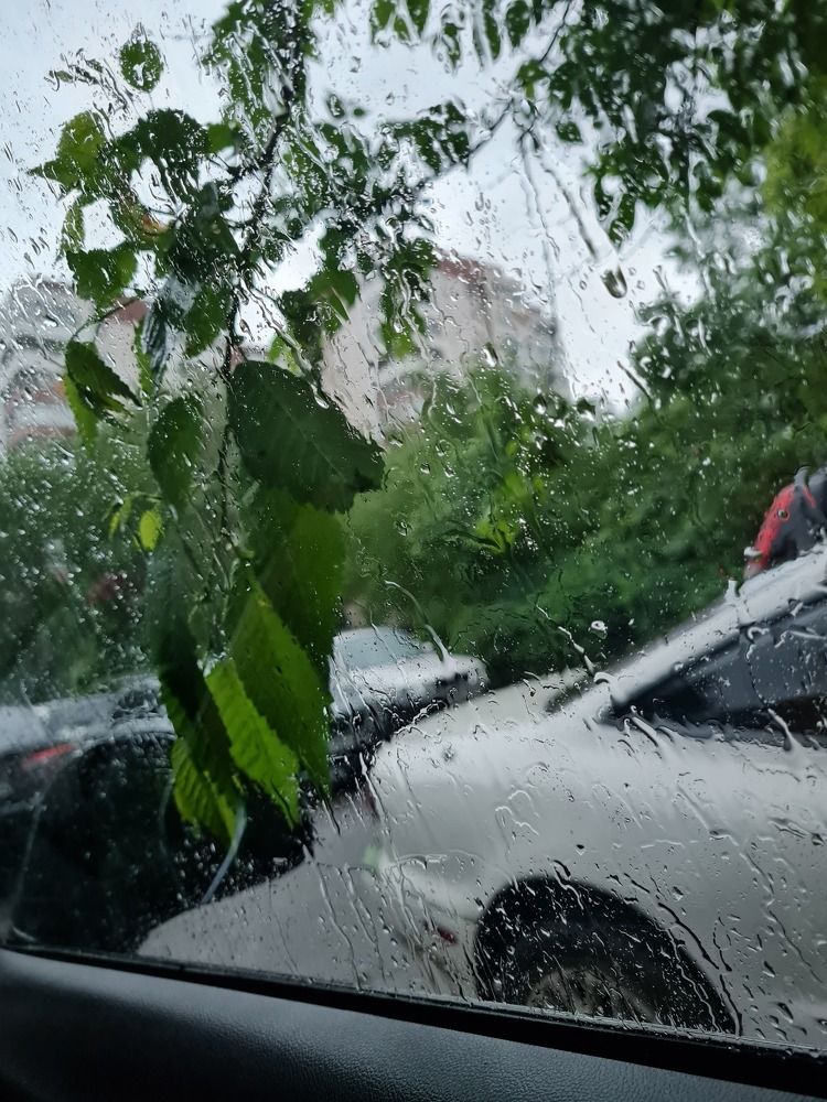 Дождь в Алматы