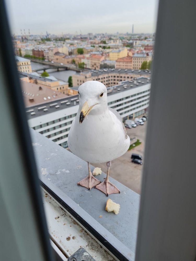 И снова здравствуйте!