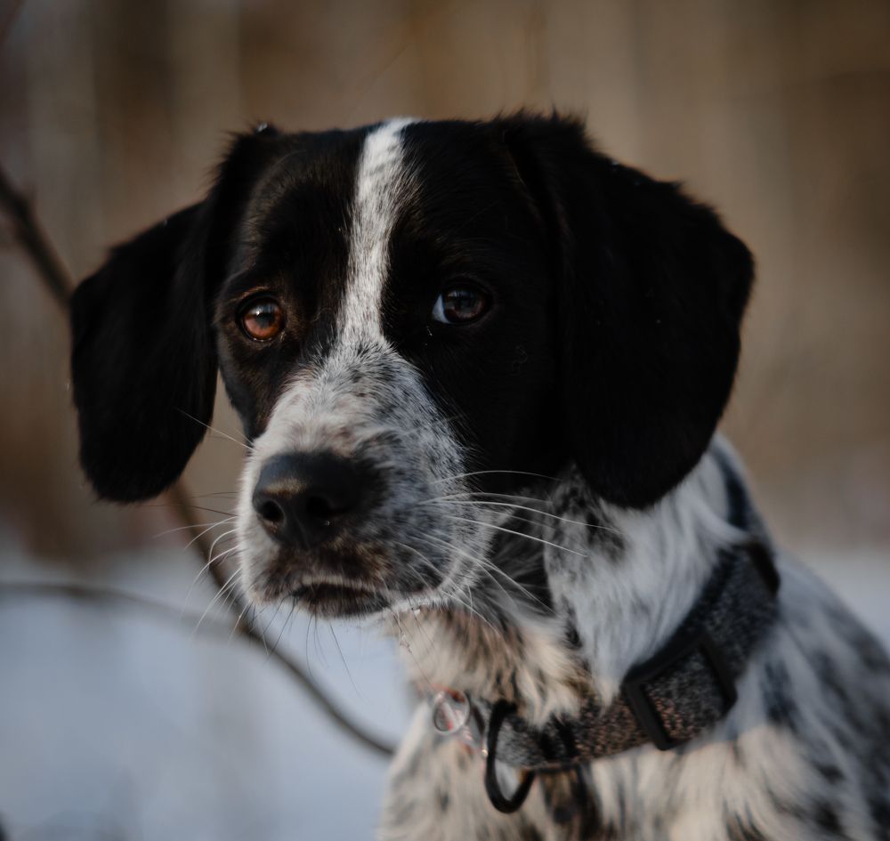 Photograph by Елена Коновалова