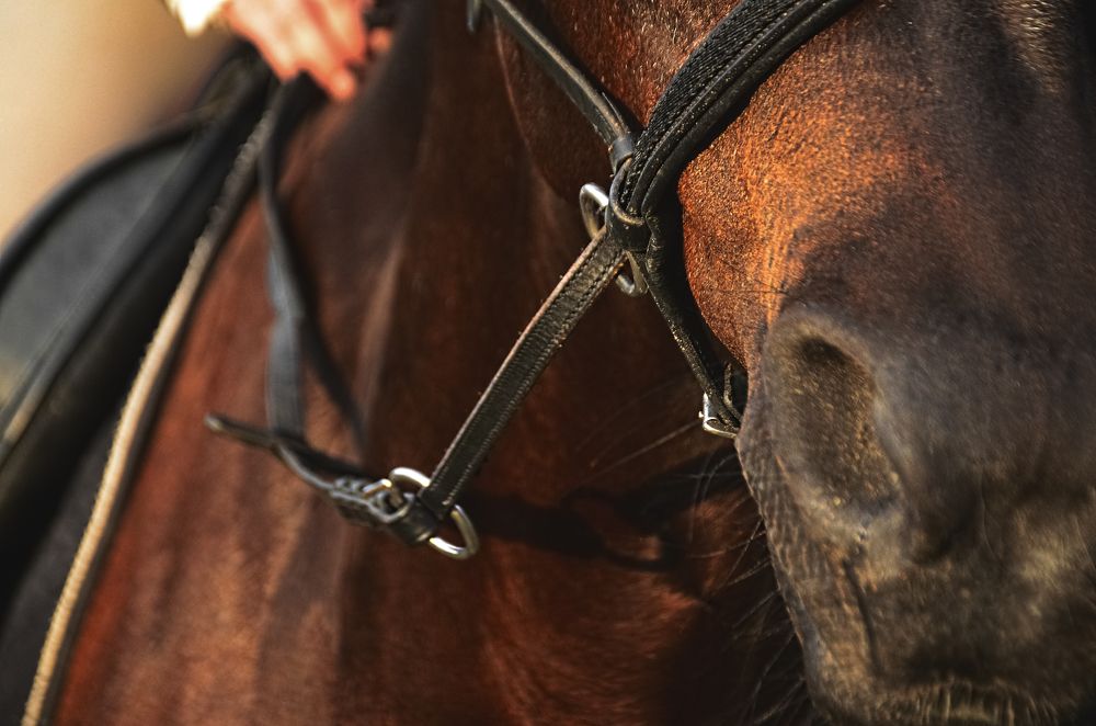 Photograph by Елена Коновалова