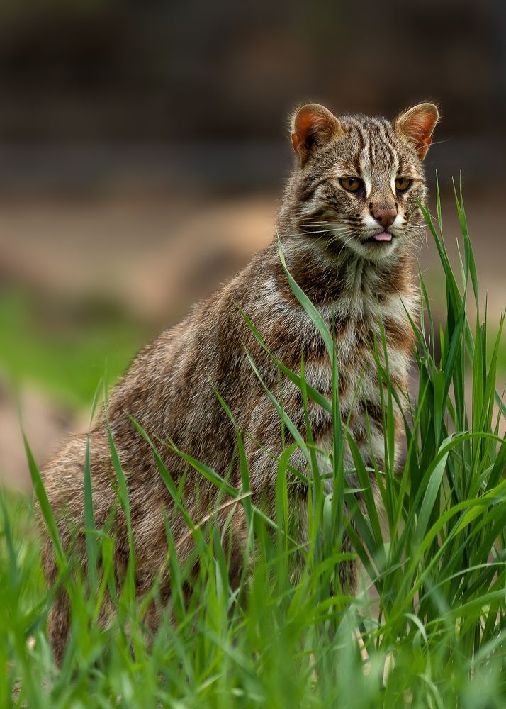 Photograph by Константин Костин