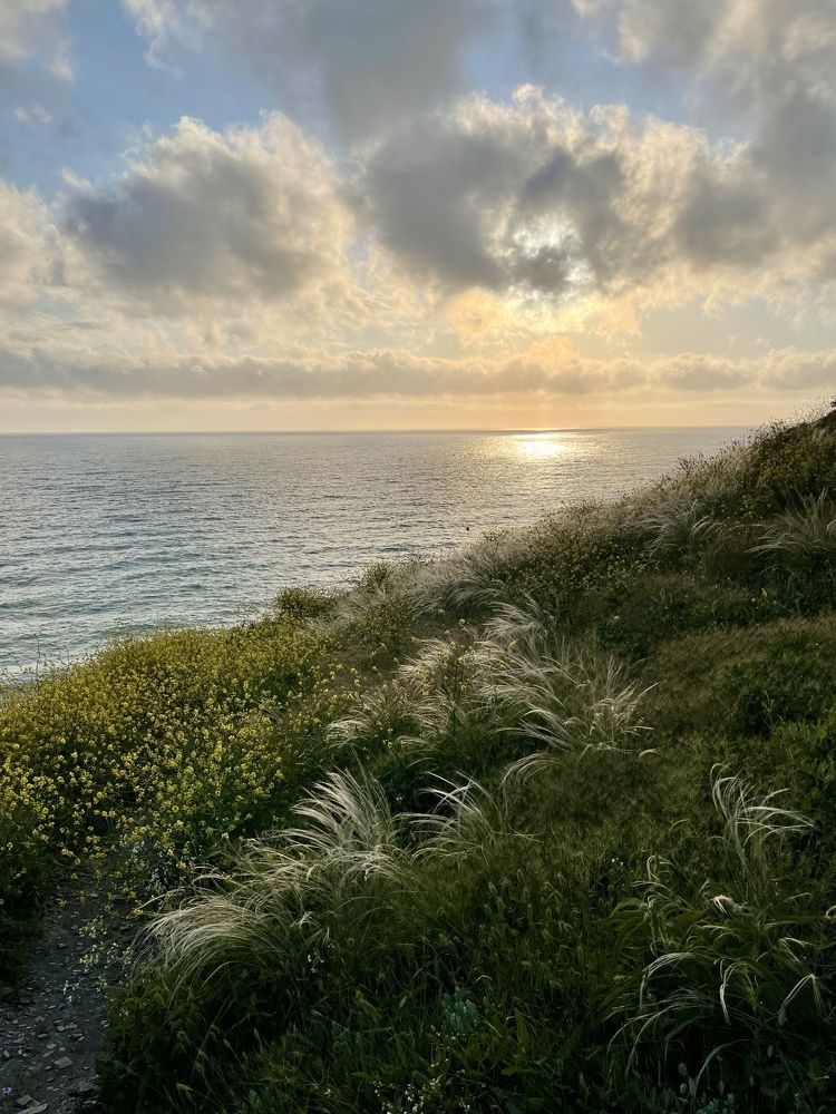 Photograph by Екатерина