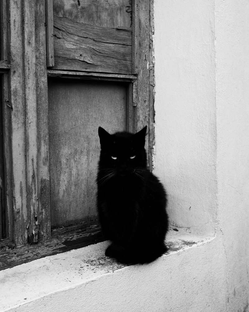 Photograph by Василий Селиванов