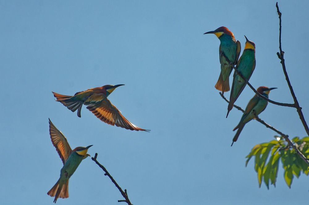 Photograph by zause01