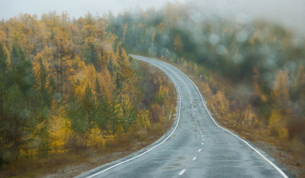 Photograph by Александр Бердыш