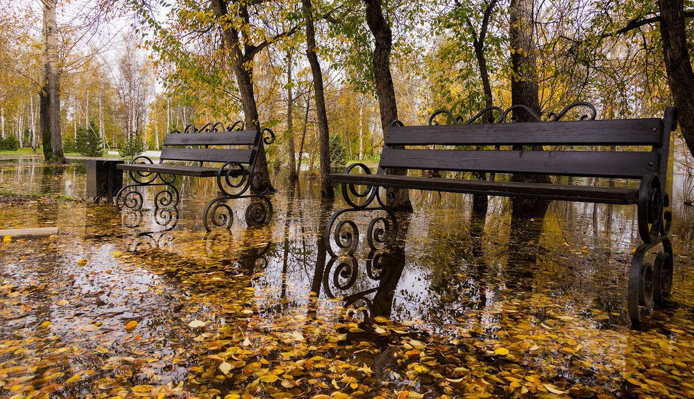 Photograph by Александр Бердыш