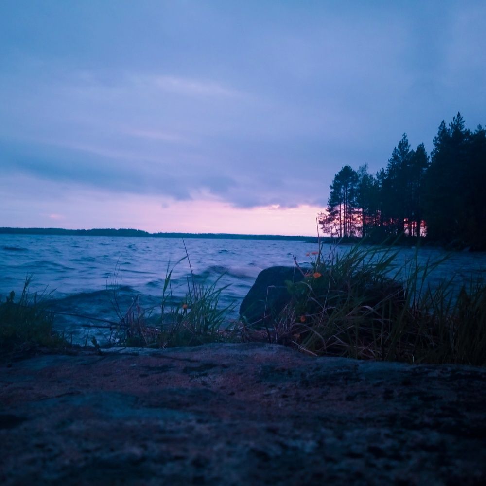 Photo #7643985