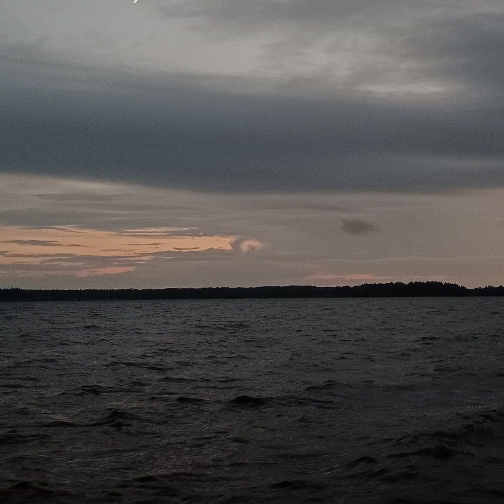 Photo #7643989