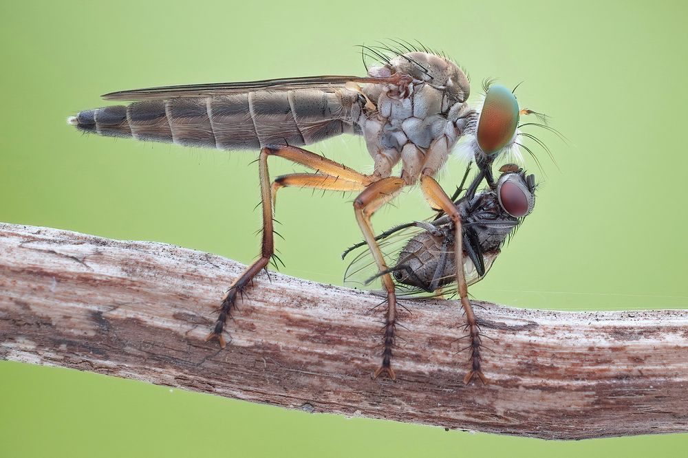 Photograph by Chen-You Li