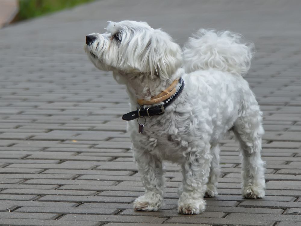 Photograph by Алексей Парамонов