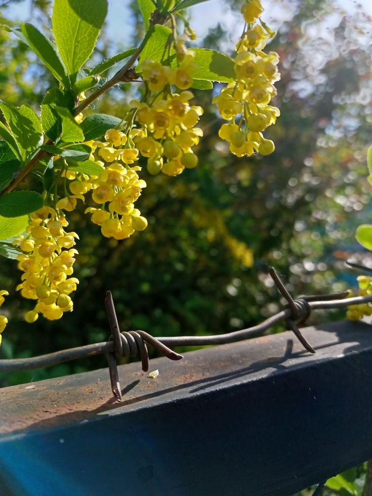 Photo #7644034