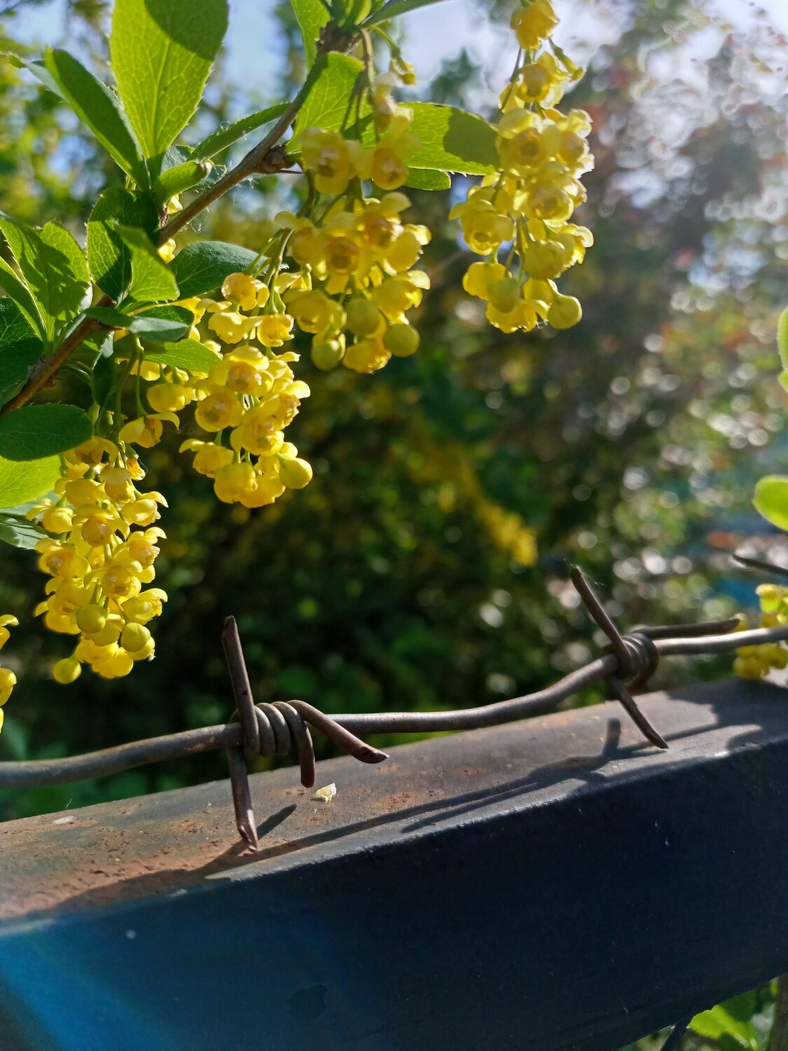 Photo #7644034