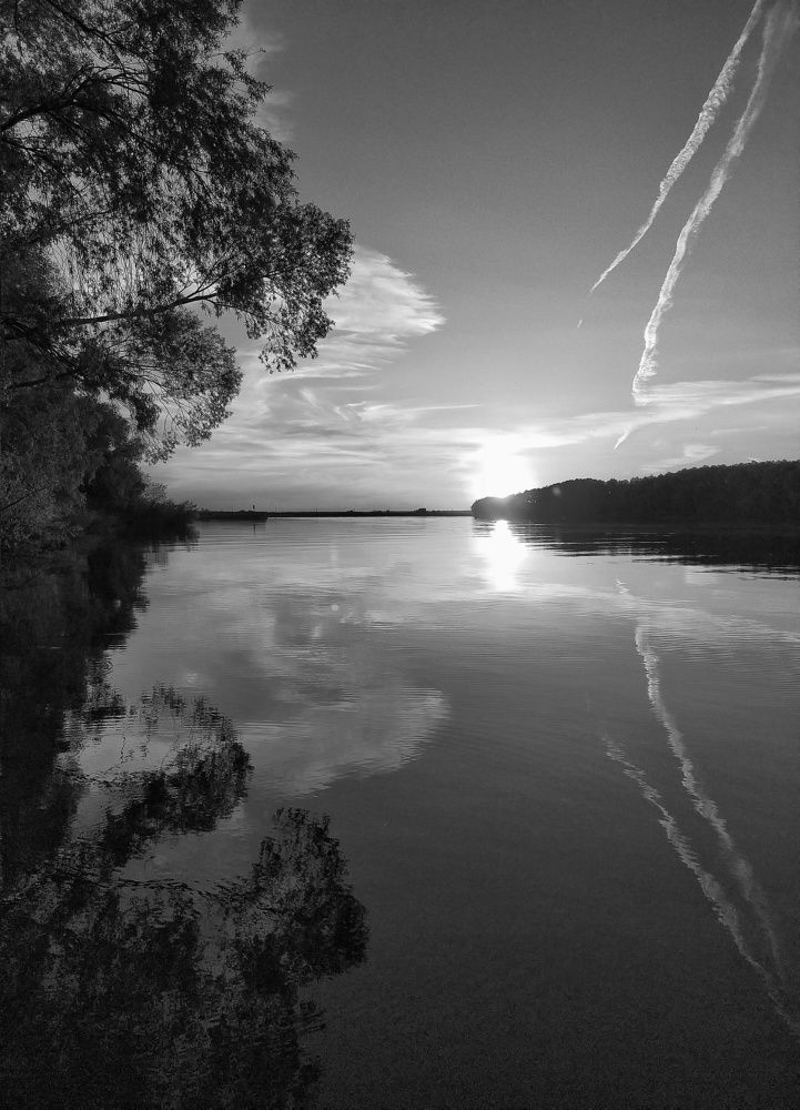 Photo #7644064