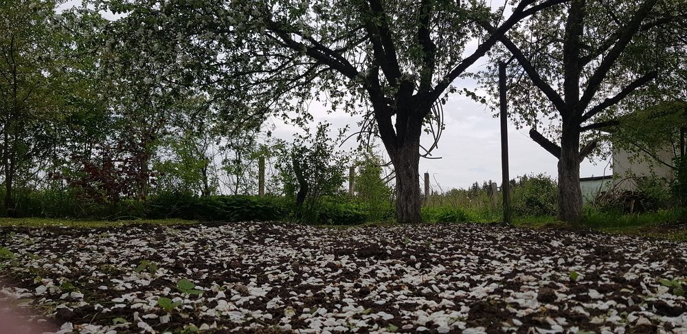 Photograph by Ivan Karavka