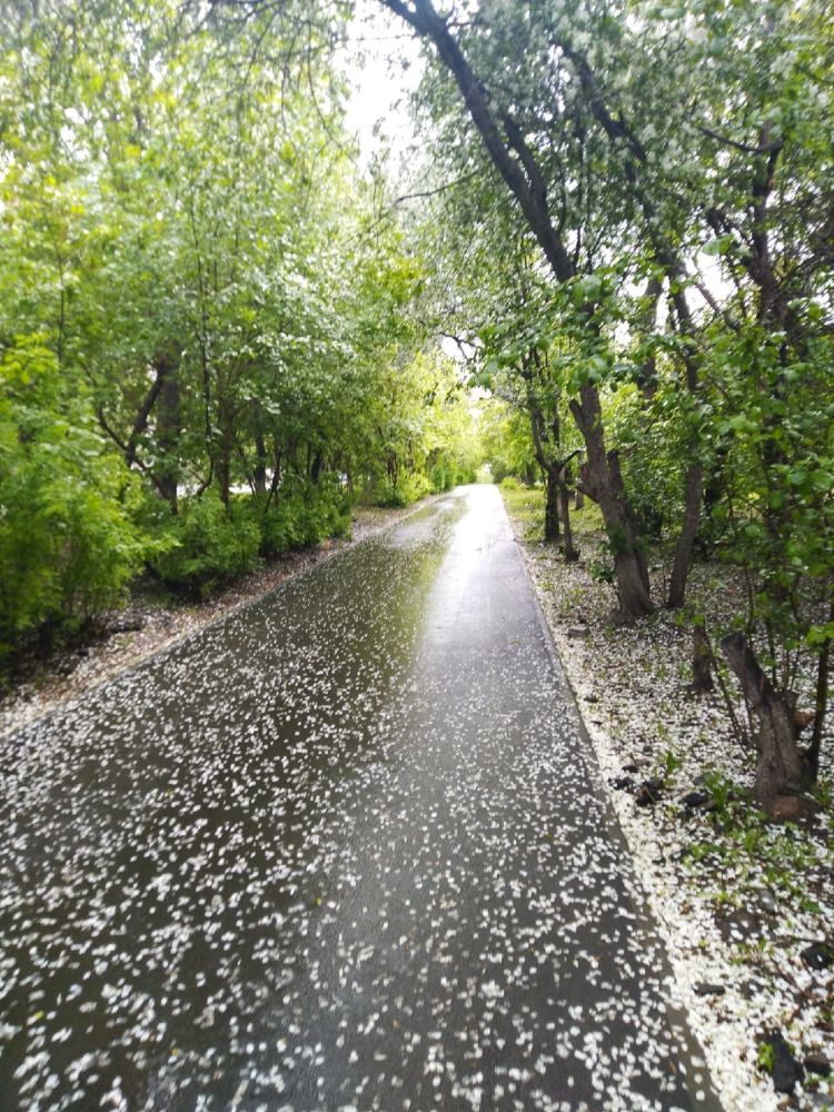 Photograph by Наталья Шулятина