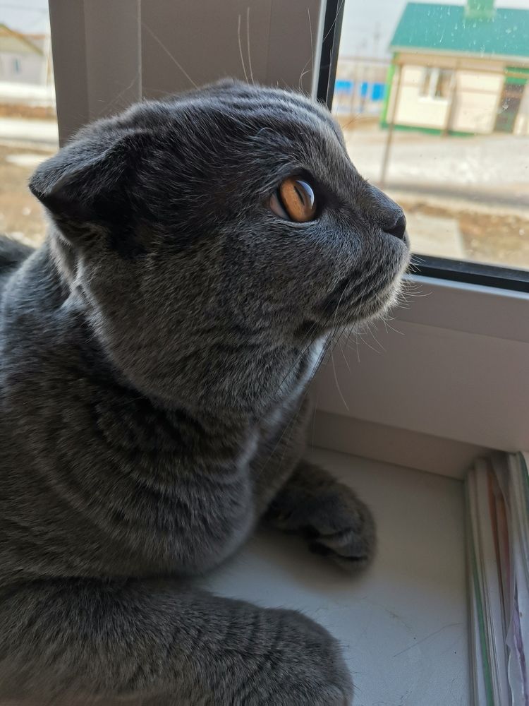 Photograph by Галина Алексеенко