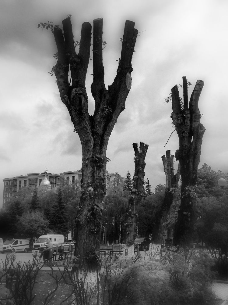 Photograph by Вадим Измайлов