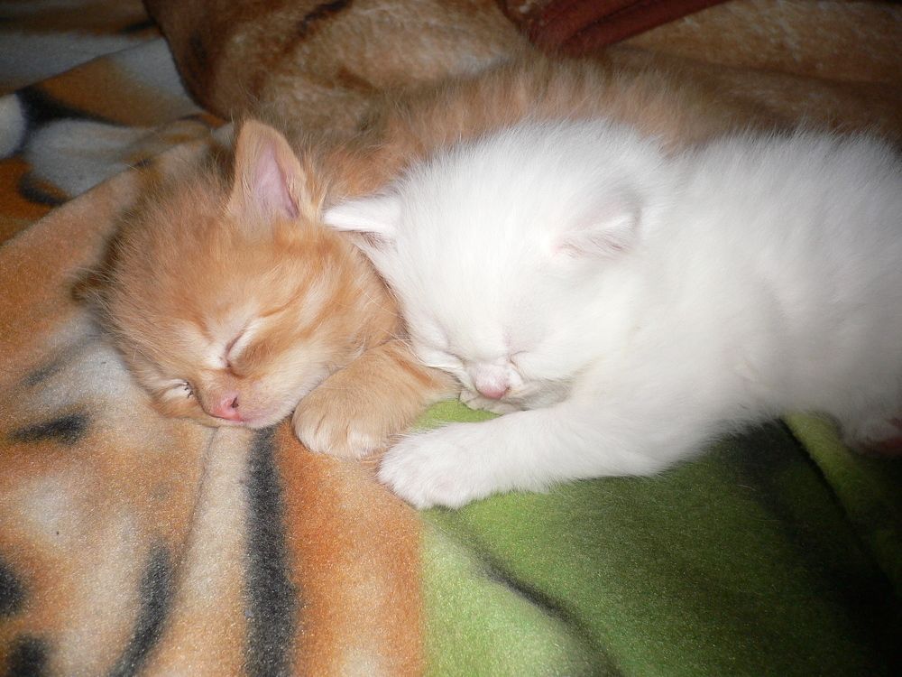 Photograph by Екатерина Хозяшева