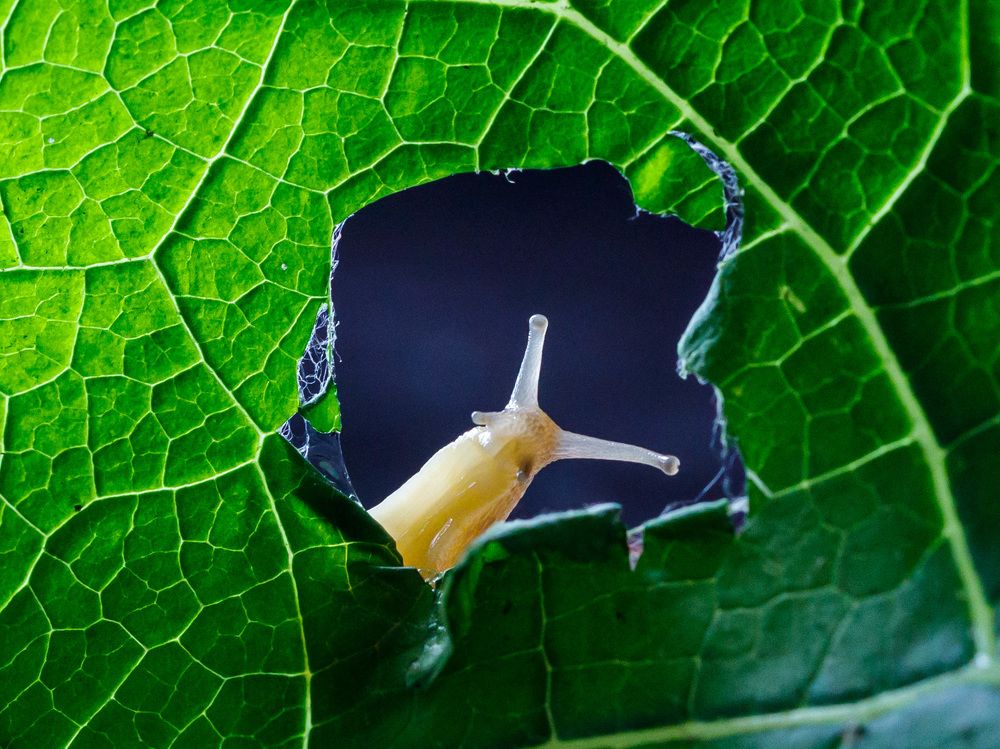 Photograph by Людмила Аксенова