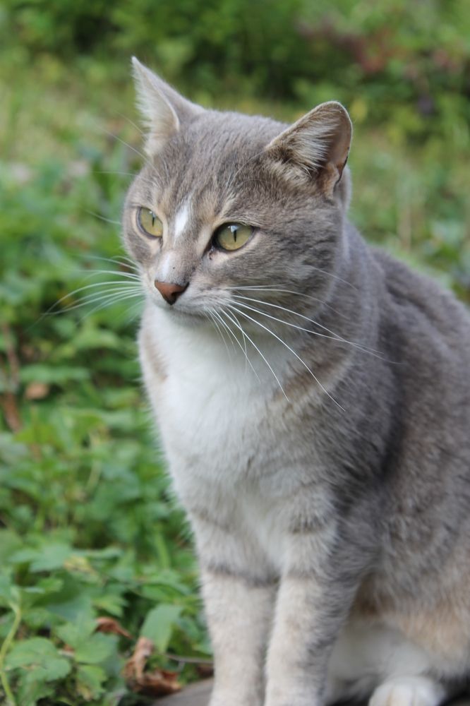 Photograph by Екатерина Хозяшева