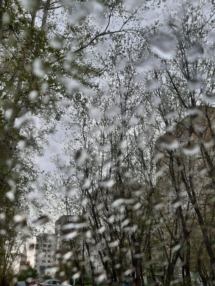 Photograph by Ольга