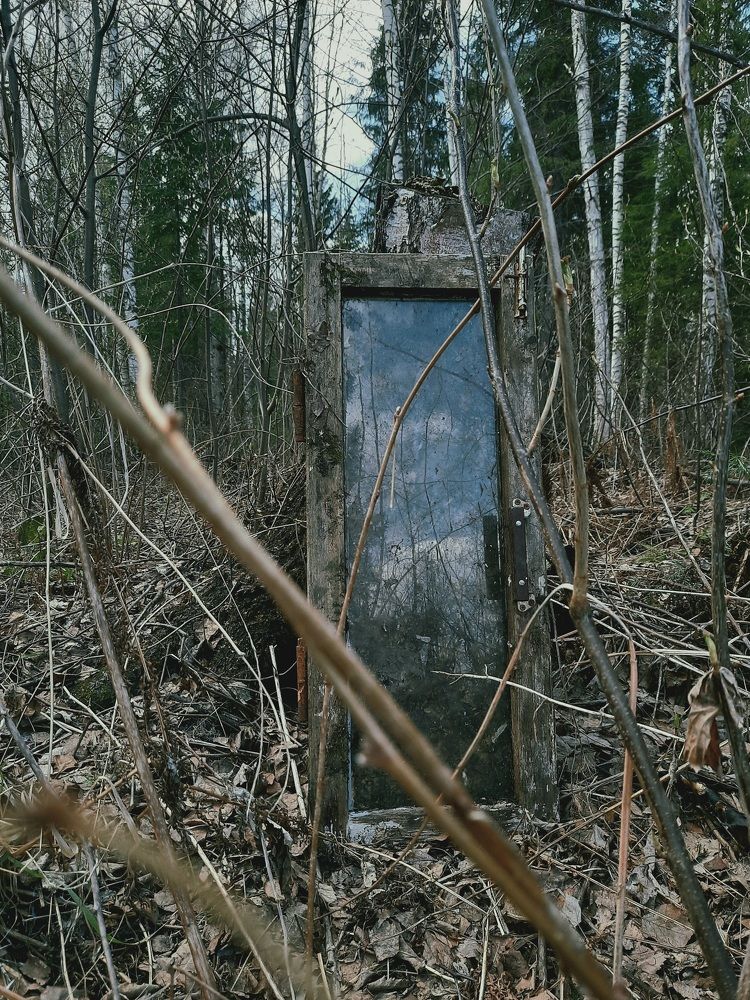 Photograph by Ольга