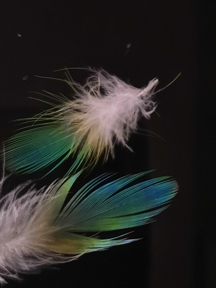 Photograph by Ольга