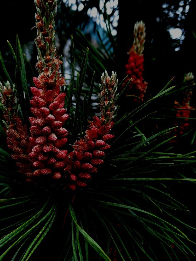 Photograph by Ольга