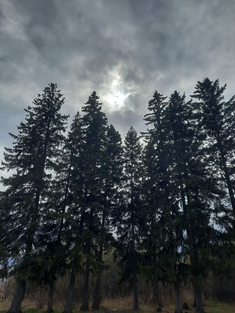 Photograph by Ольга