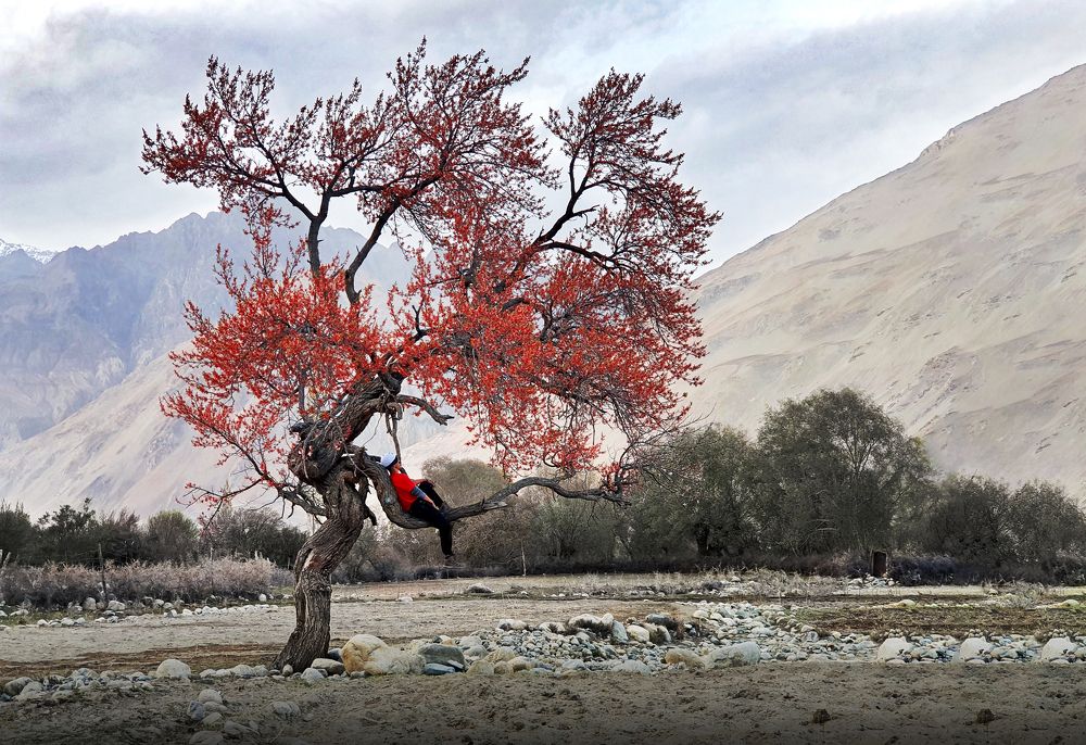 Photograph by Tu Ngan Ly