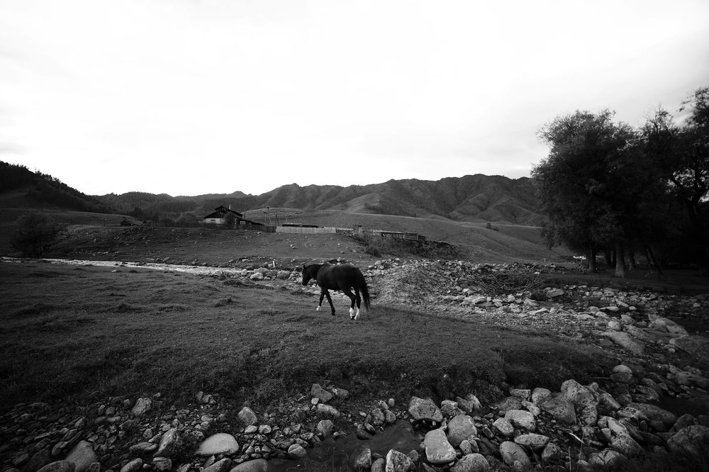 Photograph by Светлана Вайльхен