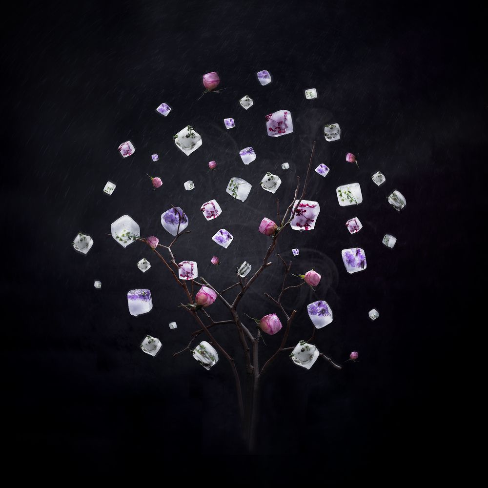 Photograph by Ледок Галина