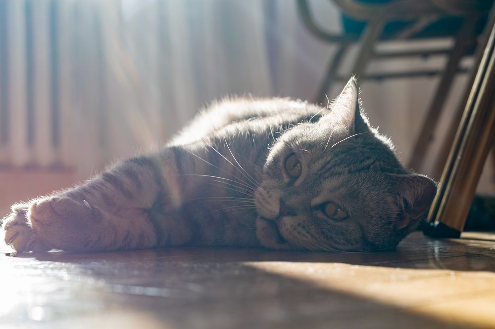 Photograph by С Павел