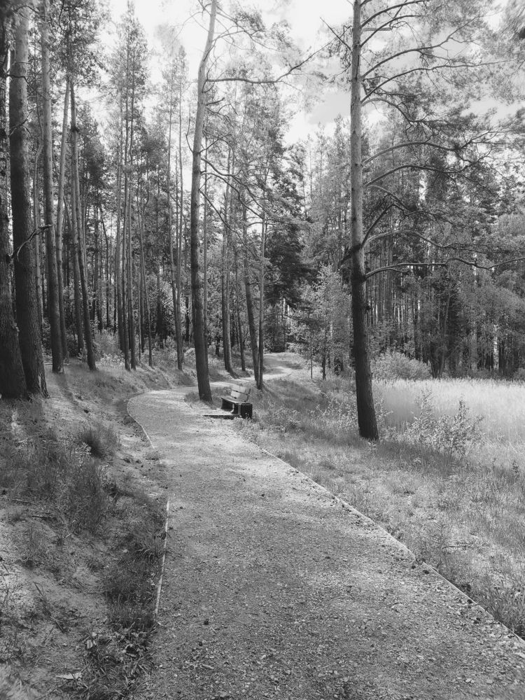 Photograph by Ирина Иванова