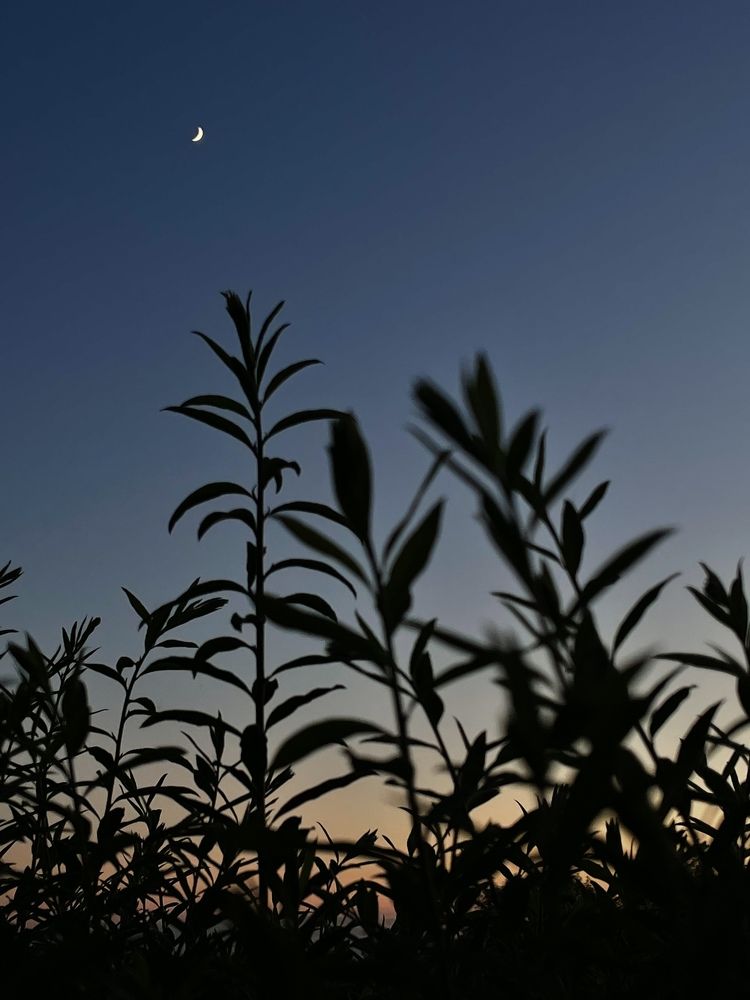 Photograph by Natalia